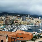 Monte Carlo Panorama