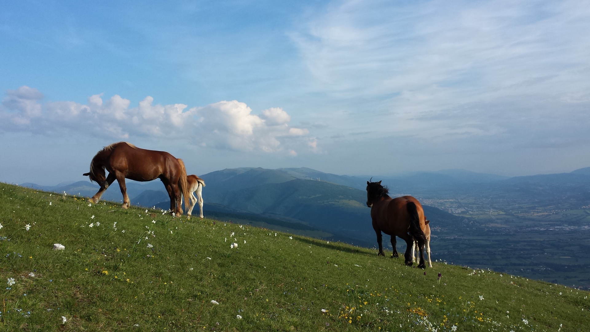 monte cucco  (umbria)