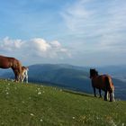 monte cucco  (umbria)