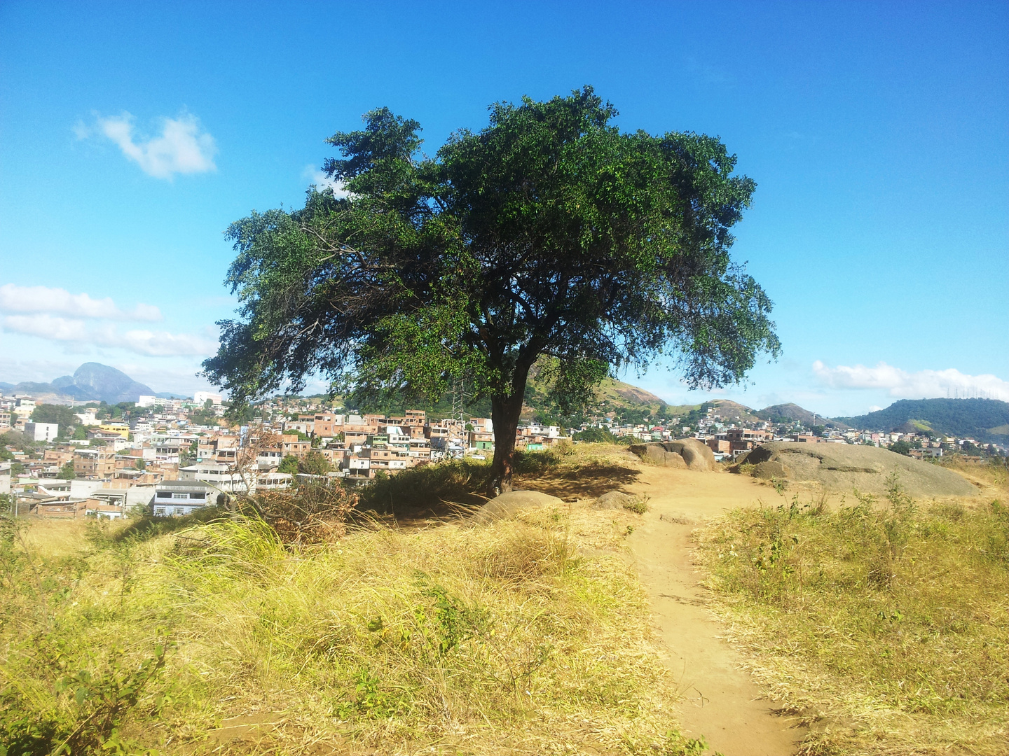 MONTE DE ORAÇÃO