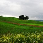 monte dei paschi