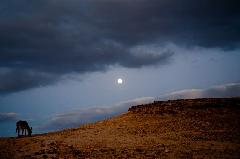 Monte delle tentazioni - Israele