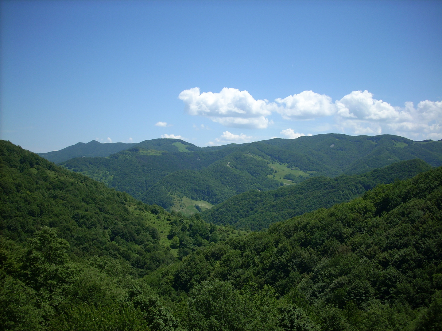 Monte Falterona