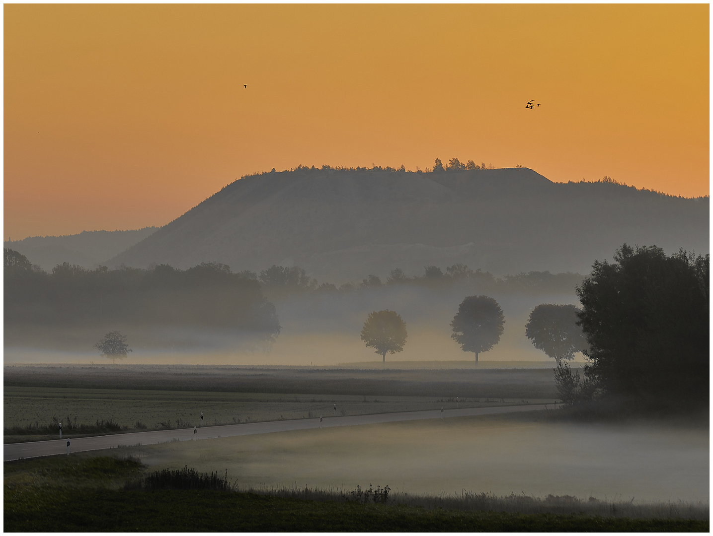 Monte Kaolino im Morgenlicht - Hirschau