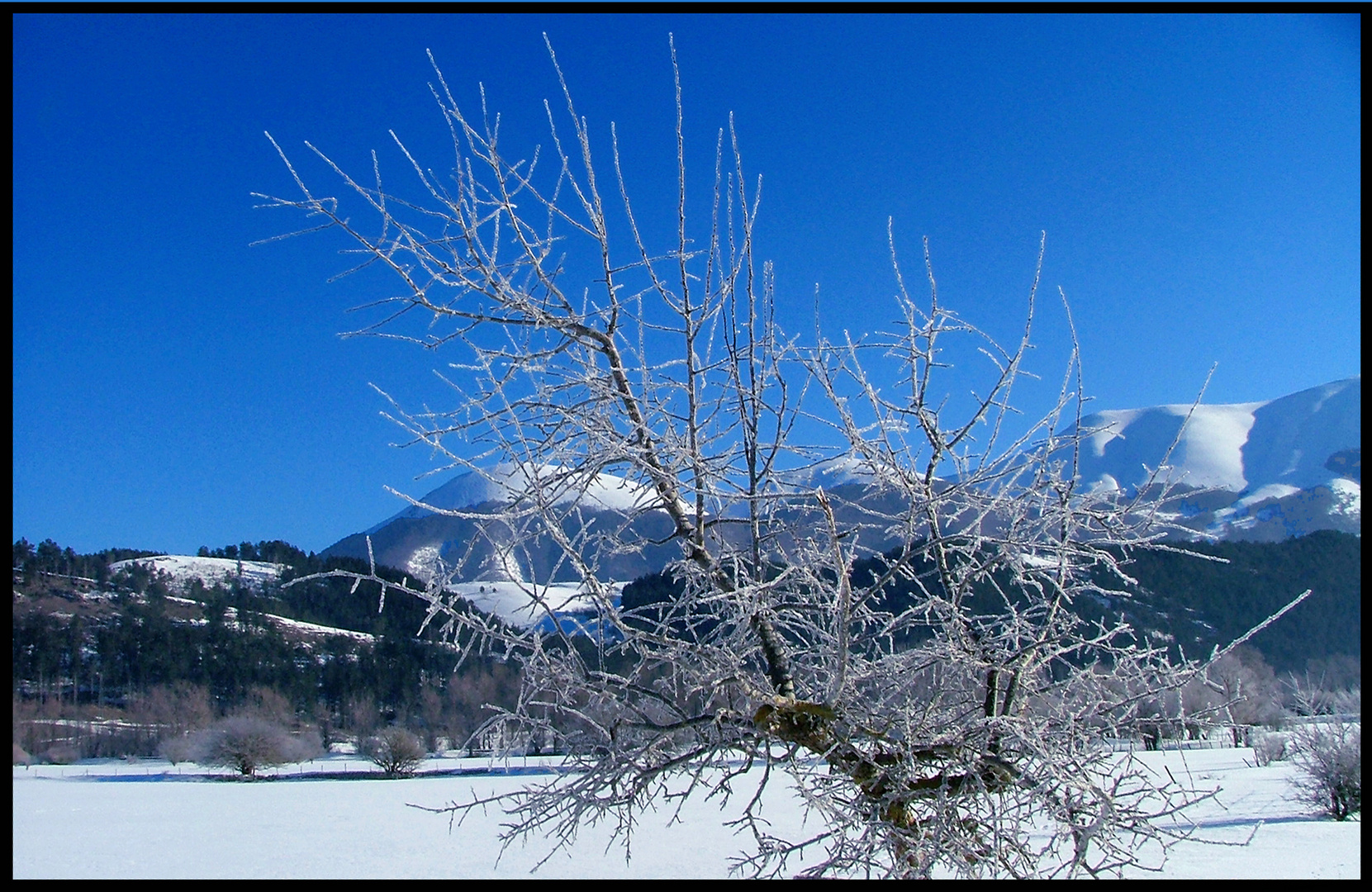 Monte Marsicano