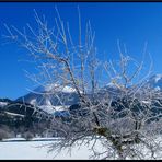 Monte Marsicano