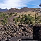 Monte Nero degli Zappini Etna