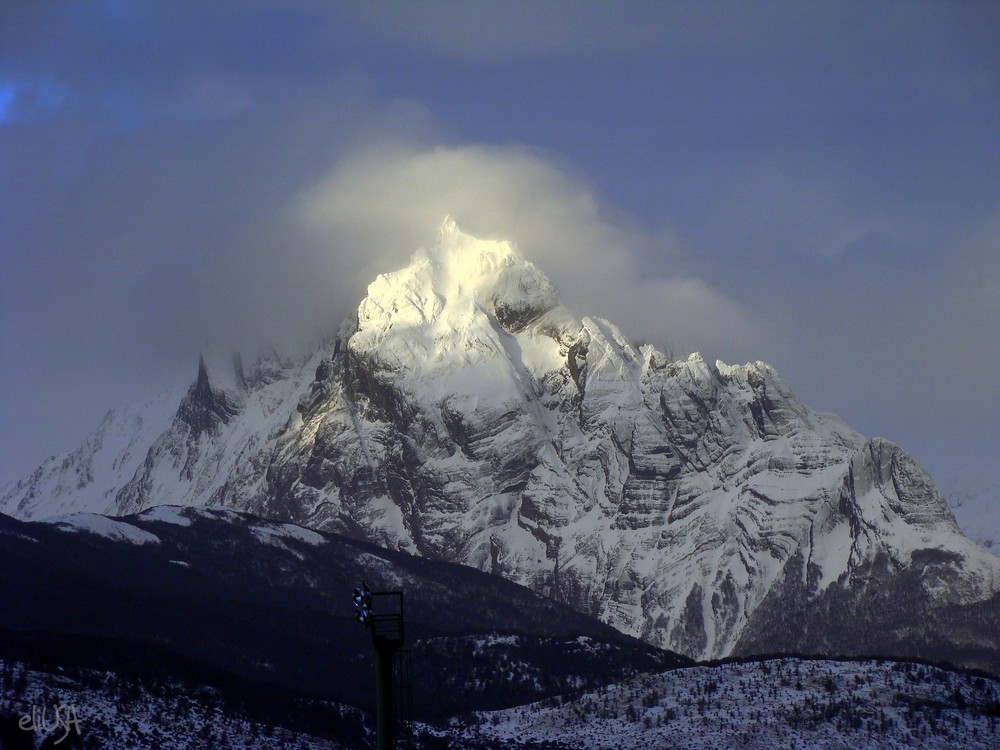 Monte Olivia