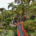 Monte Palace/ Funchal / Madeira