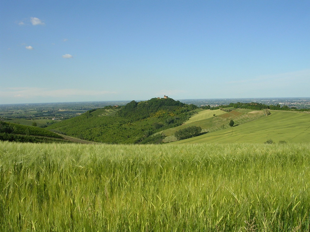 Monte Poggiolo...e intorno