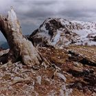 Monte Pollino mit abgestorbener Panzerkiefer