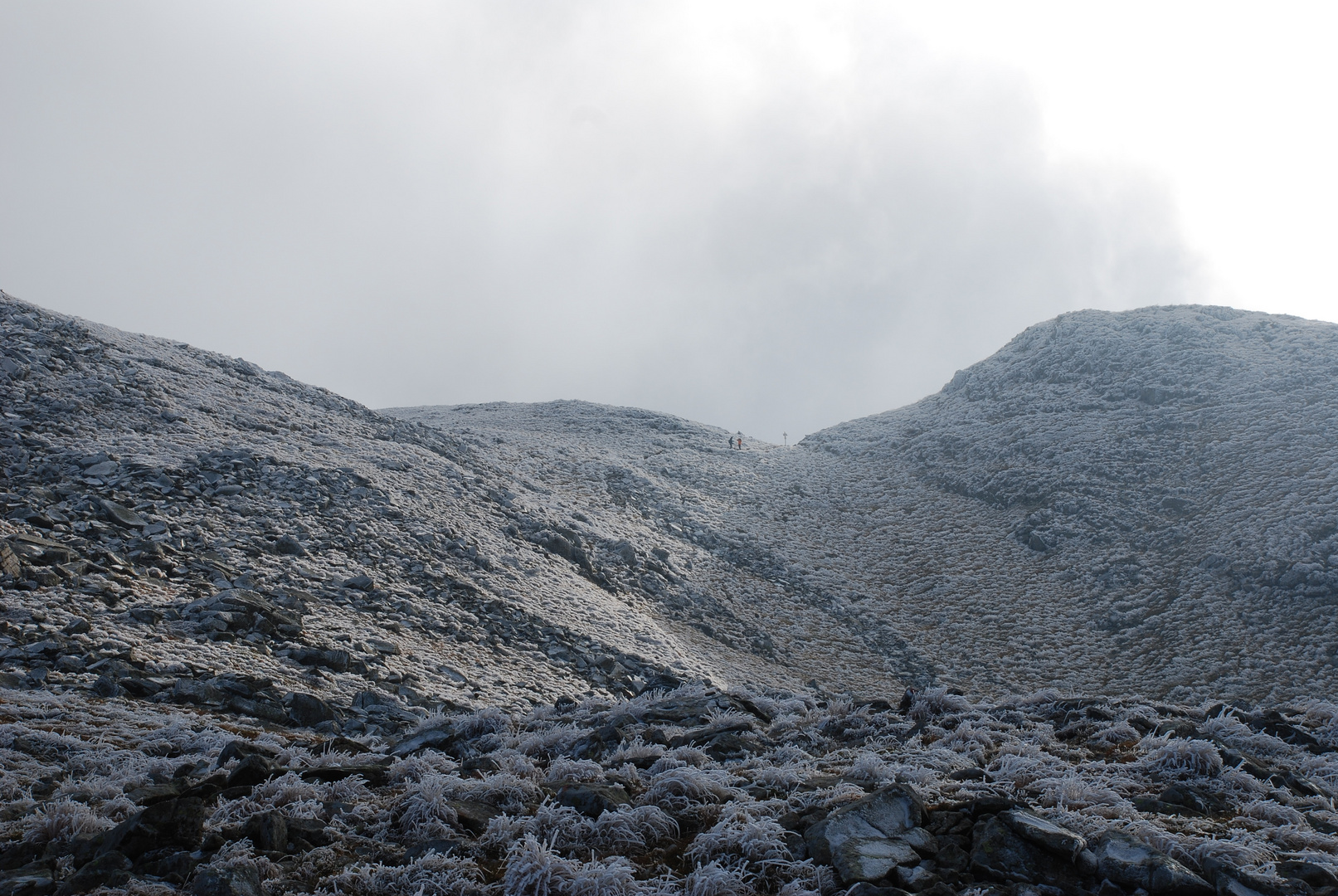 Monte Rondinaio, Appennino Tosco-Emiliano