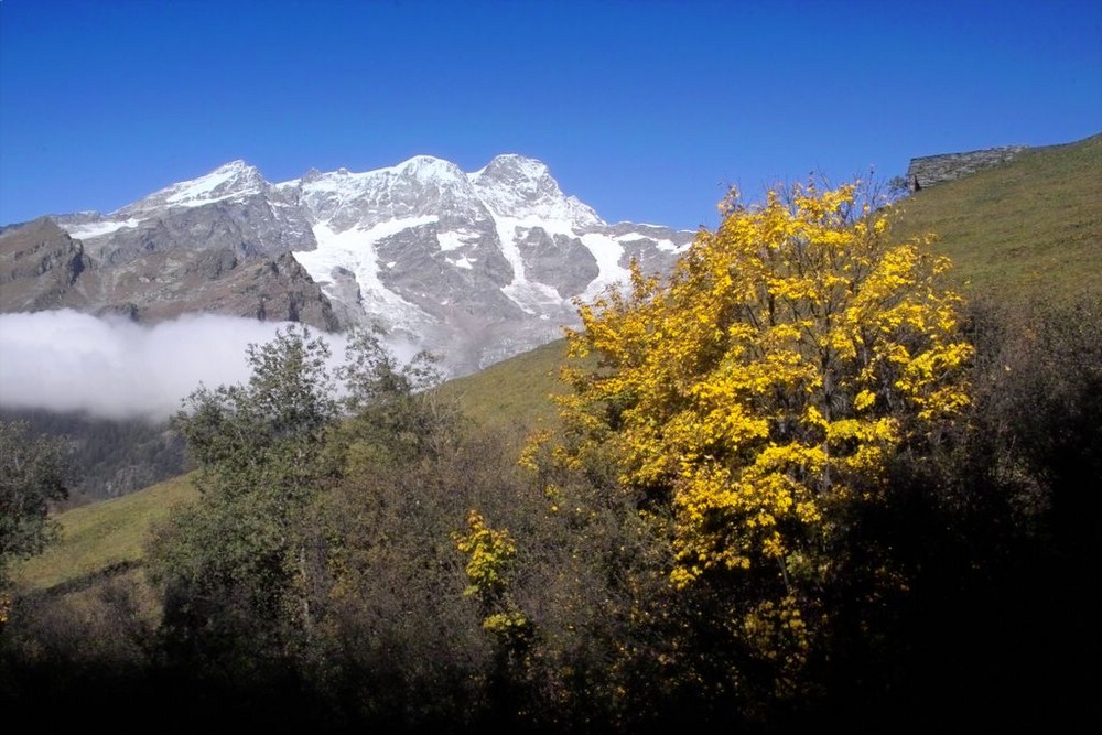 Monte Rosa