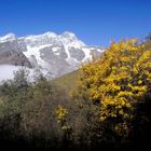 Monte Rosa