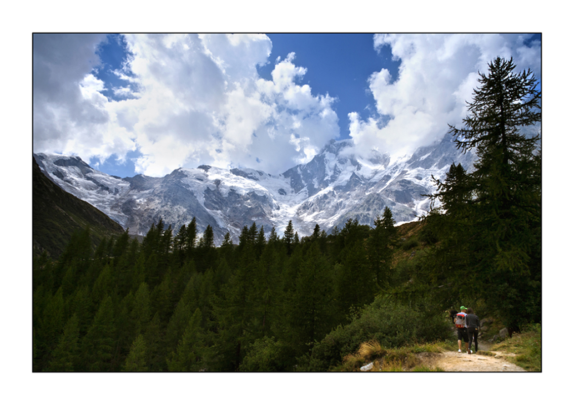 Monte Rosa