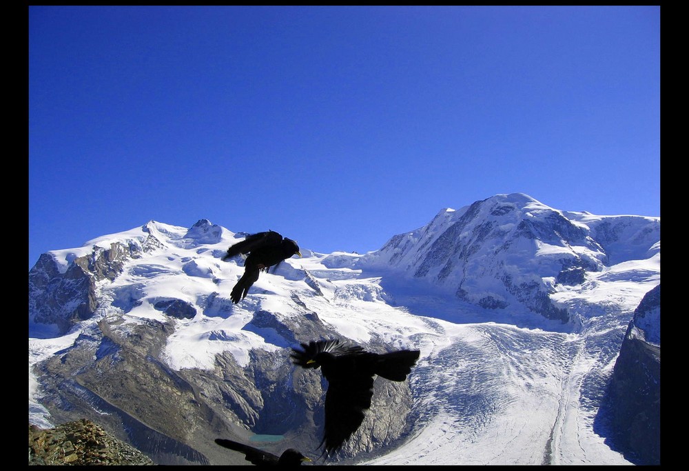 monte rosa - 4634m