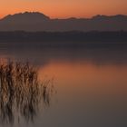 monte rosa