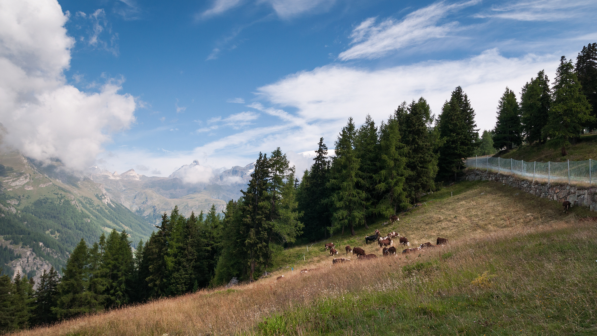 Monte Rosa