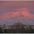 Monte Rosa all'alba