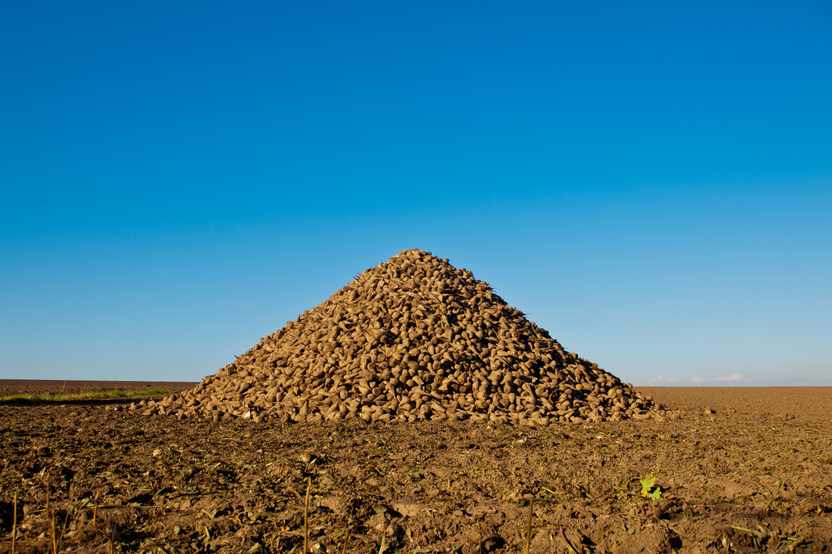 Monte Rübelino