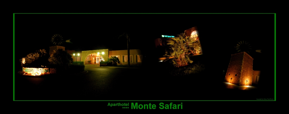 Monte Safari