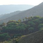 Monte Strega, Elba