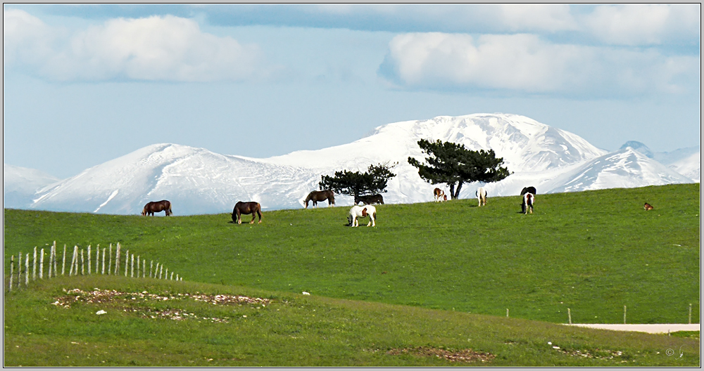 Monte Subasio (1290m)...