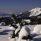 Monte Urko Eibar(Gipuzkoa)