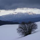 Monte Vettore - Sibillini