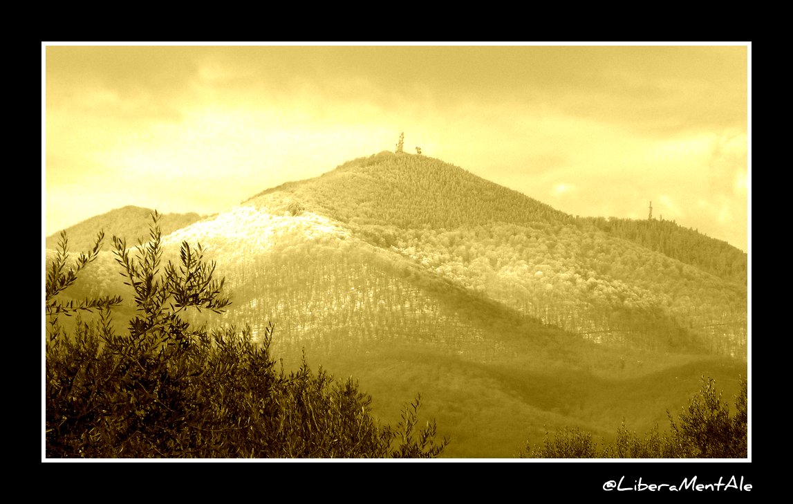 Monte Vulture - Snow 25-1-2010