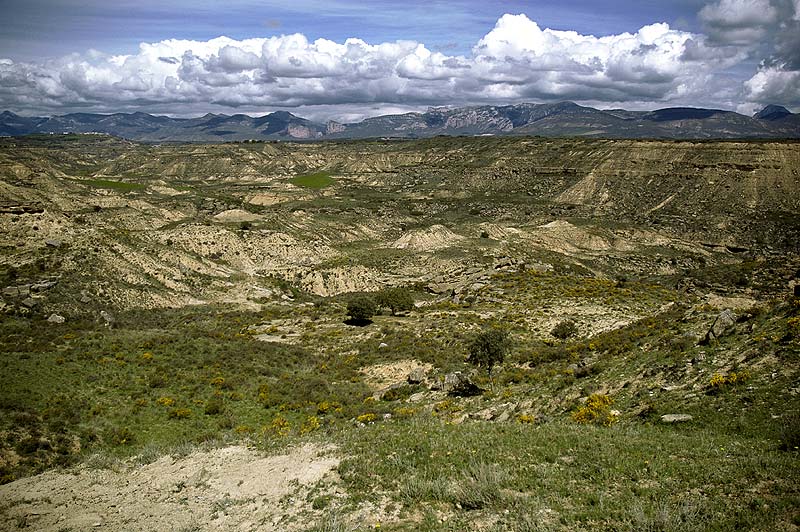 MonteAragón