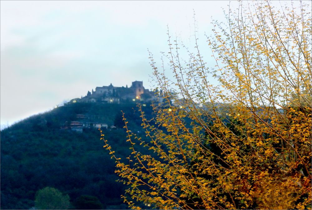 Montecatini Terma  / alto 