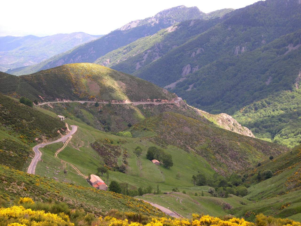 Montée du Tanargue, Cévennes Ardéchoises