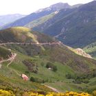 Montée du Tanargue, Cévennes Ardéchoises