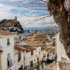 MONTEFRIO (GRANADA)