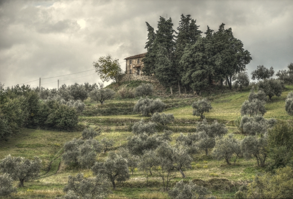 Montemurlo's Countryside