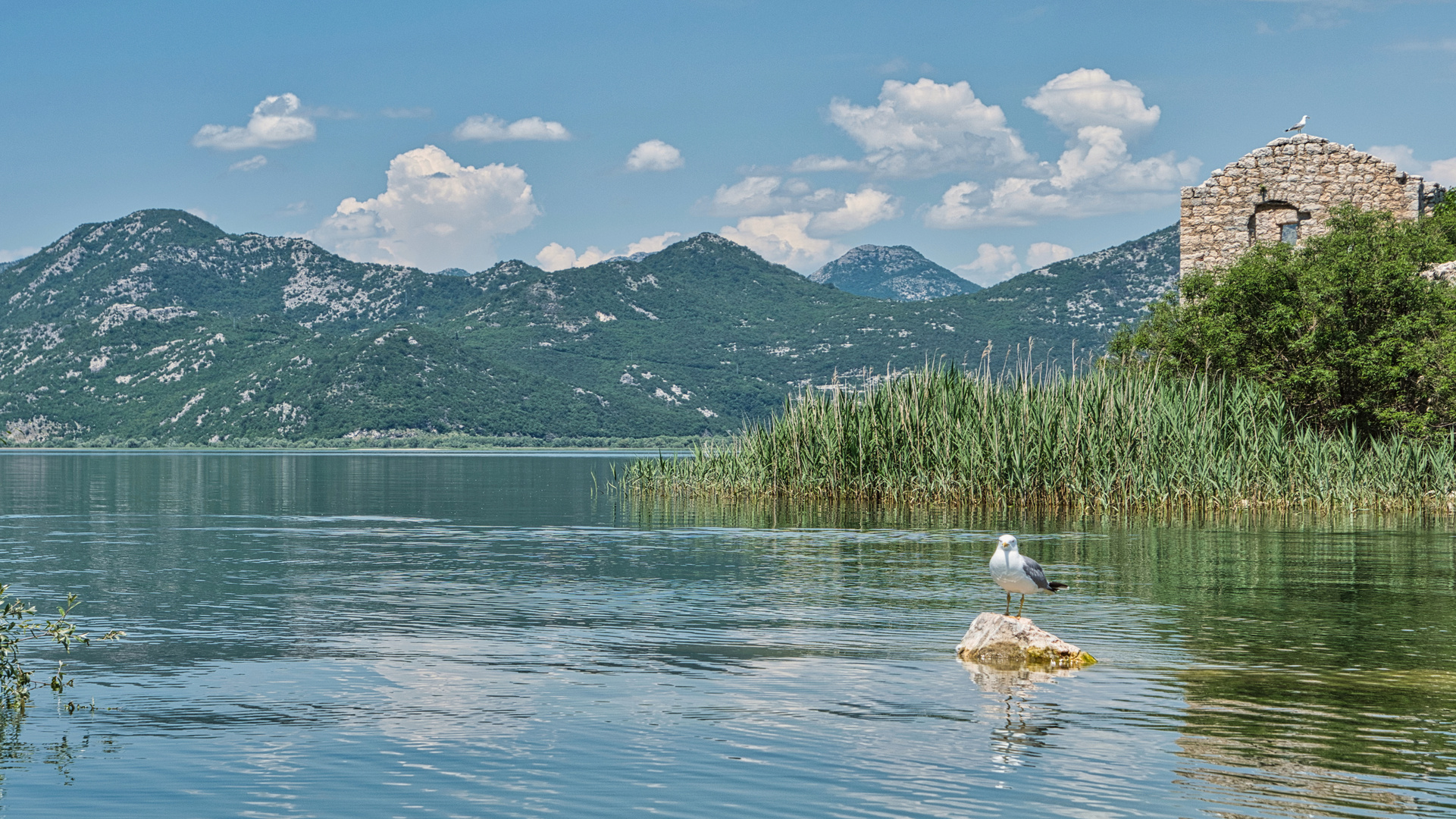 Montenegros "Alcatraz"