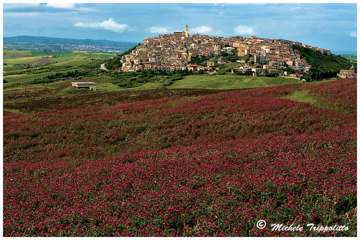 montenero di bisaccia (cb)