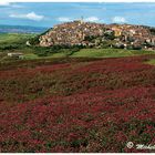 montenero di bisaccia (cb)