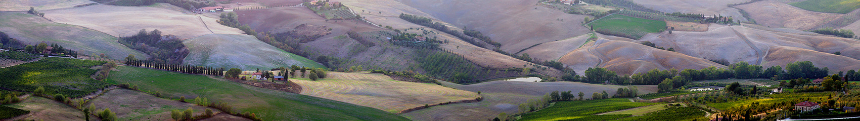 MONTEPULCIANO