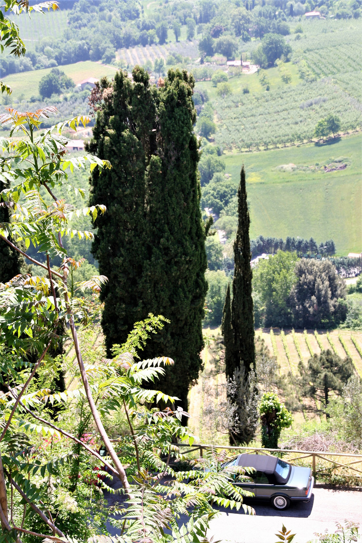 Montepulciano