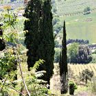 Montepulciano