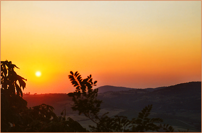 montepulciano .