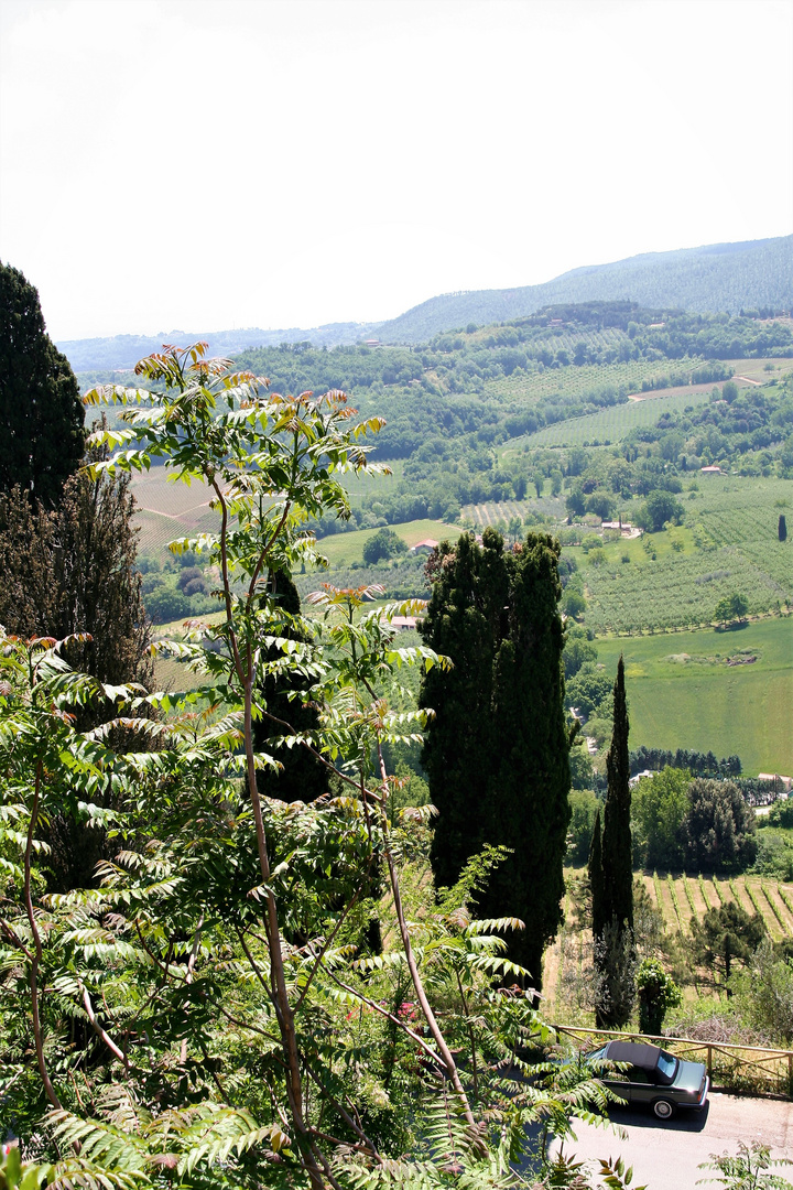 Montepulciano