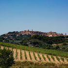 MONTEPULCIANO