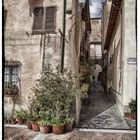 Montepulciano Hausfassade