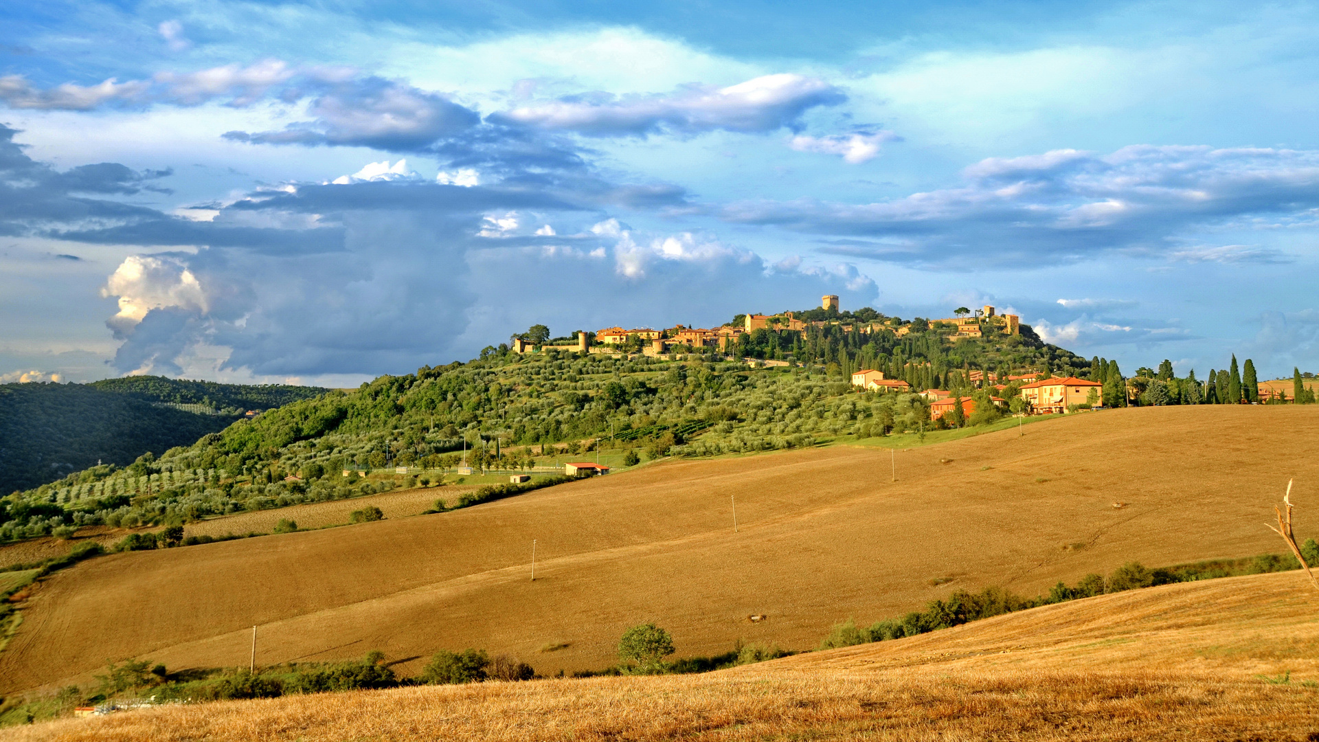 Montepulciano Panorama