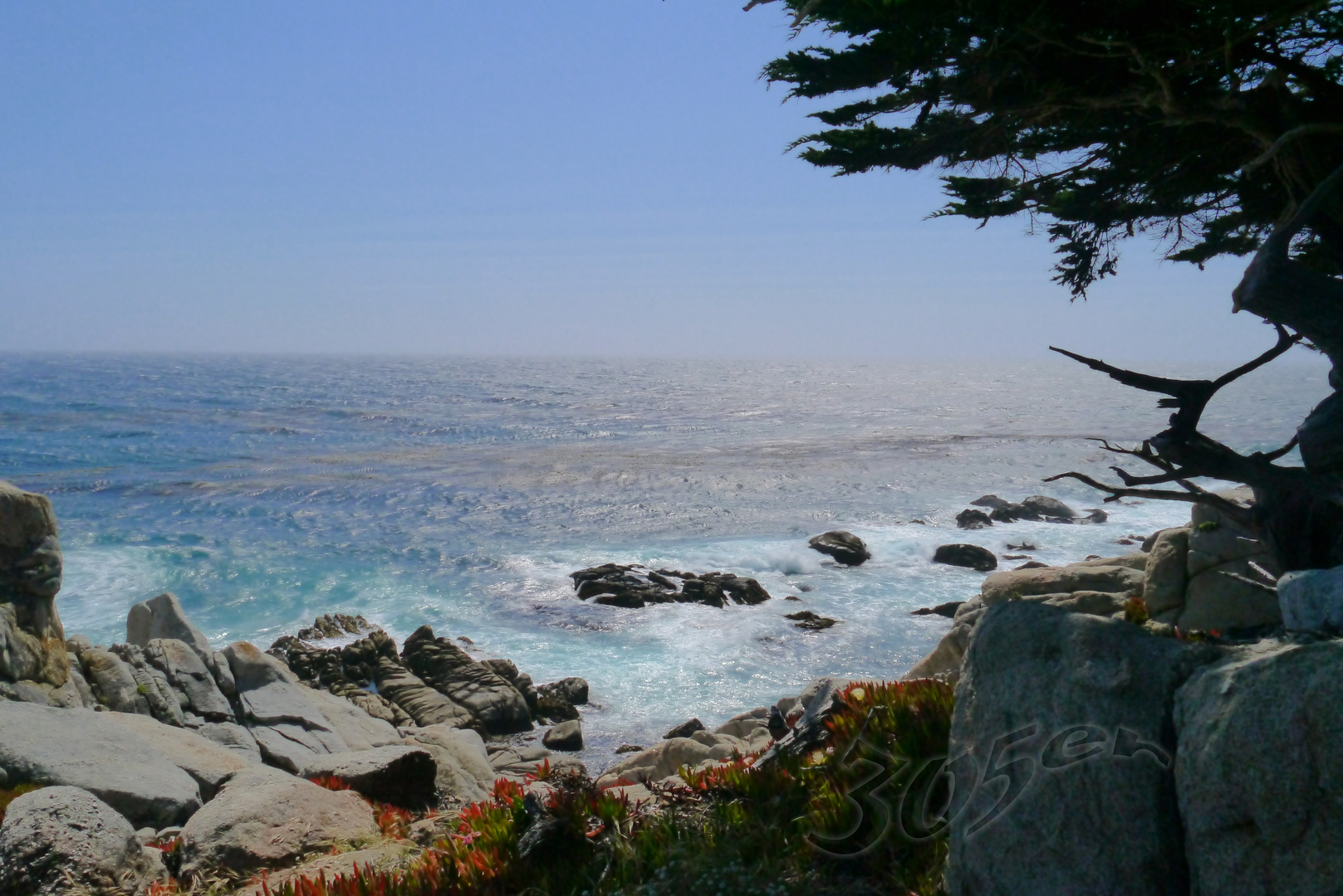 Monterey - 17 Mile Drive