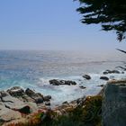 Monterey - 17 Mile Drive