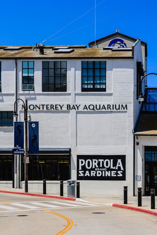 Monterey Bay Aquarium